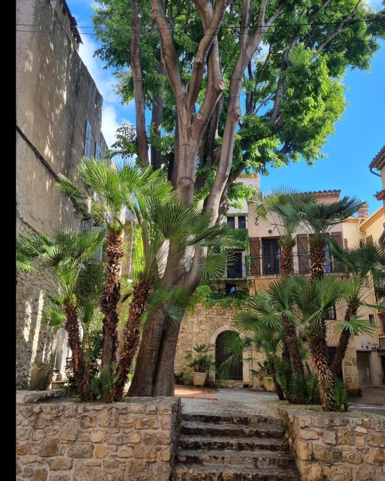 06An - Beautiful Apartment In The Heart Of Old Antibes Exterior foto